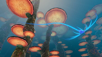 Subnautica Screenshots And Wallpaper Envul