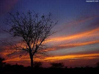 African Safari Wallpaper