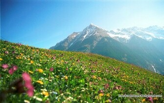 New Mountain Wallpaper Screensavers And Background