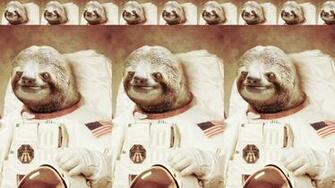 Astronaut Sloth For iPhone iPad Computer Wallpaper