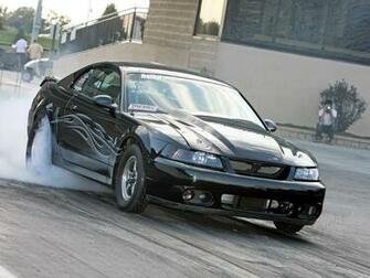 Mustang Cobra Terminators Picture Gray Ford Black
