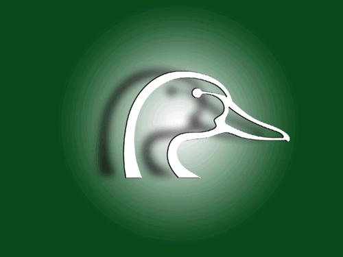 The Ottawa Ducks Unlimited Goo