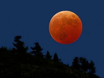 Full Moon Night