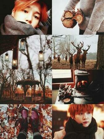 Aesthetic And