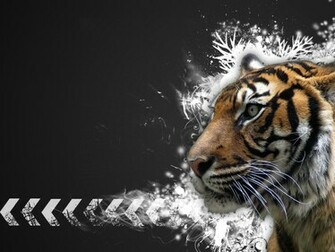 Mac Tiger Wallpaper Tera