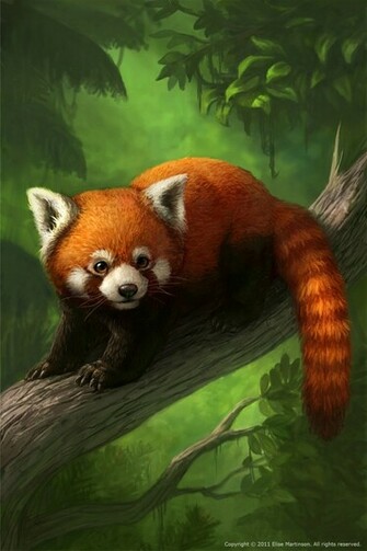 Red Panda iPhone Wallpaper On