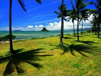 Chinaman S Hat Hawaii Wallpaper HD
