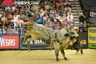 Bull Riding Wallpaper With Kawasaki