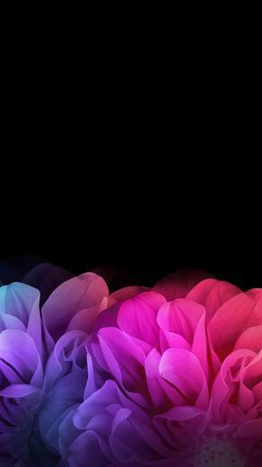 Black Floral iPhone Wallpaper Phone Background