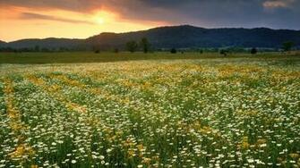 Mountains Tennessee Wallpaper National