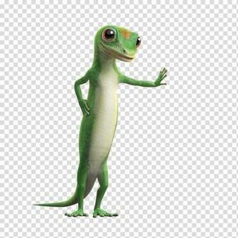 Geico Vehicle Insurance Life Allstate Others