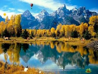 Nature Screensavers