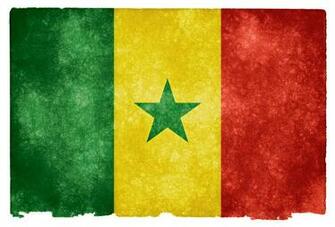 Best Senegal Wallpaper Parrot