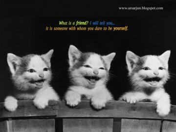 Friendship Wallpaper For Your