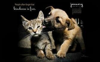 Crosscards Wallpaper January Happy Cards