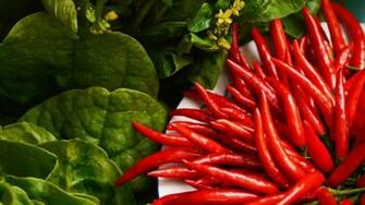 4k Chili Pepper Wallpaper High Quality
