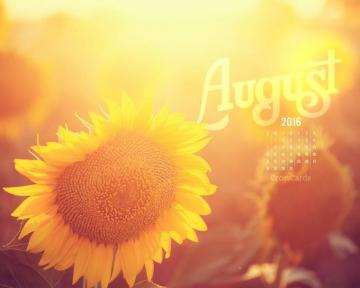 August Themed Background HD Wallpaper