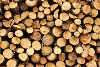 Firewood Background High Quality Nature Stock Photos Creative