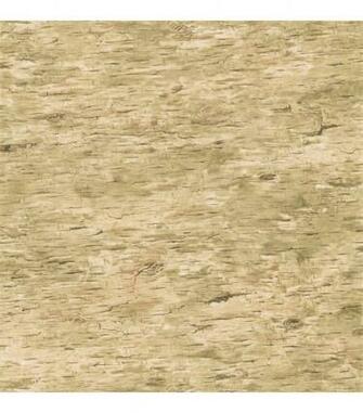 Birch Light Brown Bark Texture Wallpaper Samplebirch