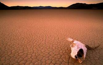 Desert HD Wallpaper Background Image