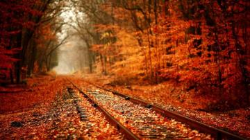 Autumn Aesthetic Wallpaper Baltana