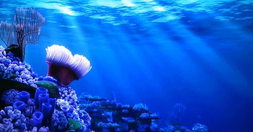 Live1 The Best Looking Live Desktop Image Gifs Bustaflash For