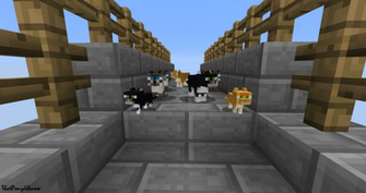 Cat Invation In Minecraft By Thatponyuknow