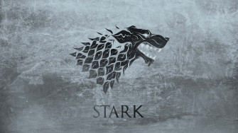 House Stark Logo Textured Wallpaper