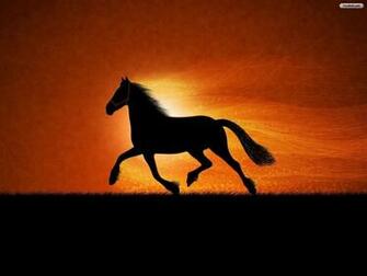 Cool Horse Background