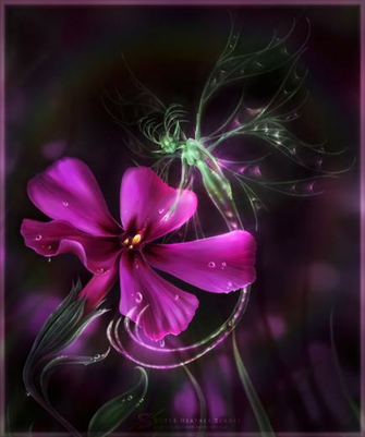 Glow Worm Fairy By Zaellrin