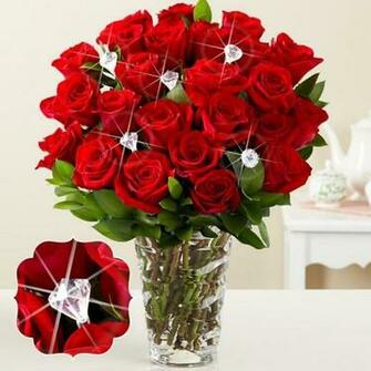 Gulab Ka Phool HD Wallpaper The Galleries Of