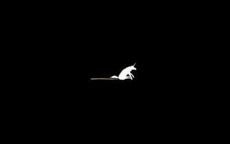 Unicorns Funny Horses Poop Wallpaper