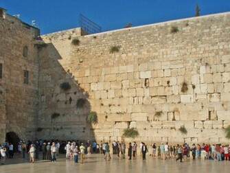 Wallpaper Amnesty