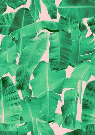 Banana Leaf Wallpaper Print By Rihanna