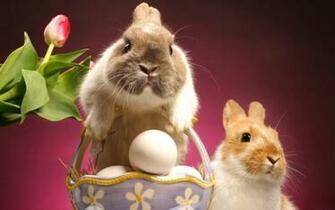Easter Screensavers Time For The Holidays