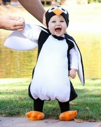 The Cutest Penguin Ever Baby Wallpaper