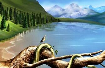 Animal Or Bird 3d New Wallpaper And Change Your Current Give