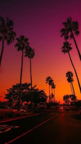 Beautiful iPhone Wallpaper Sea Ead