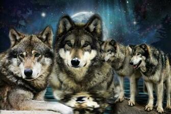 Pack Jpg