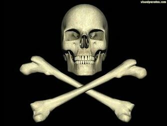 Lea Michele Skulls And Crossbones Wallpaper