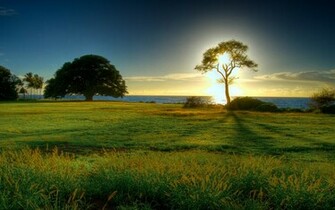 Wallpaper Nature Spring