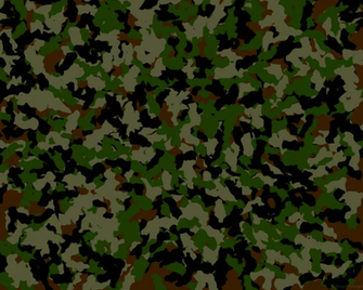 Camouflage Wallpaper For Walls Ideas Butterfly