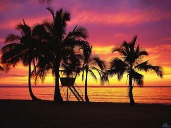 Wallpaper Tropics Beach Sunset Oahu Evening Palm Hawaii