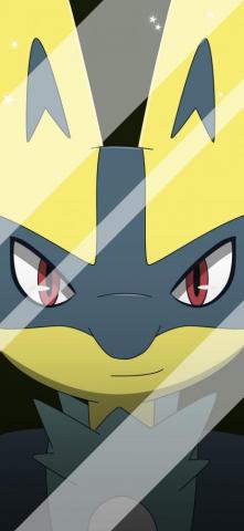 All0412 On Pok Mon Mobile Wallpaper Lucario Shiny