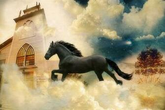 Friesian Horse Wallpaper