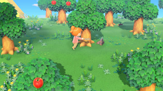 People Are Lending Their Maintenance Services For Animal Crossing
