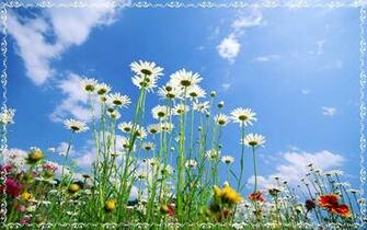 Best Top Desktop Spring Wallpaper HD Background