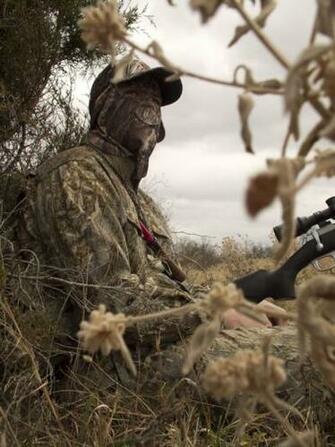 Cool Coyote Hunting Background Oklahoma Whitetail Hunt