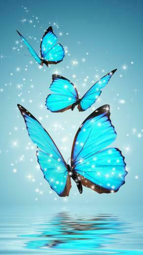 Butterfly Wallpaper For Android Net