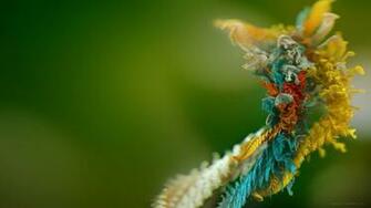 Graphic HD Wallpaper Creative